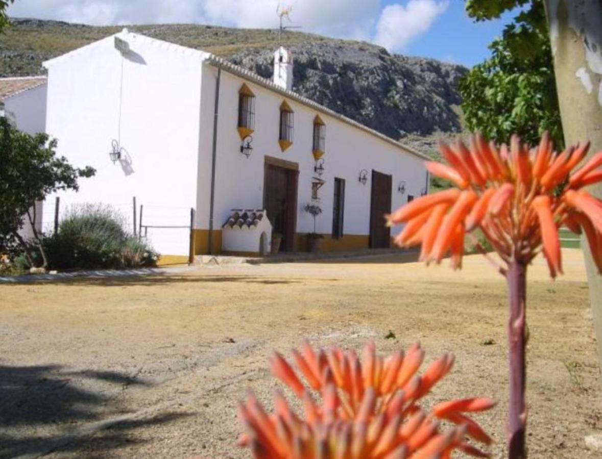 Complejo Cortijo Rural El Puntal Villa Teba Eksteriør billede